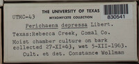Image Associated With the Occurence